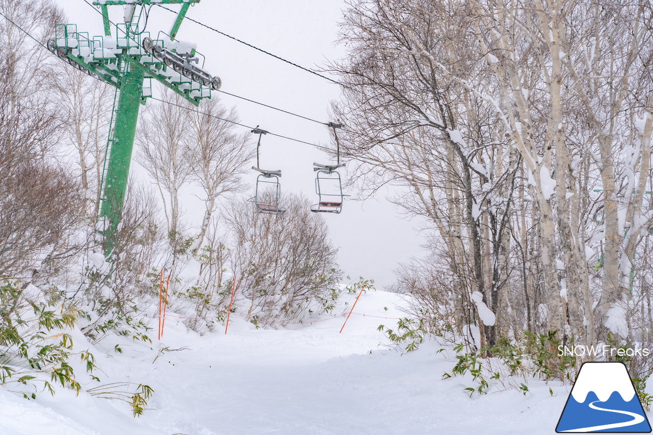 サッポロテイネ｜-10℃。雪質はパウダー。サミットエクスプレスに乗ってロング滑走を楽しみましょう！